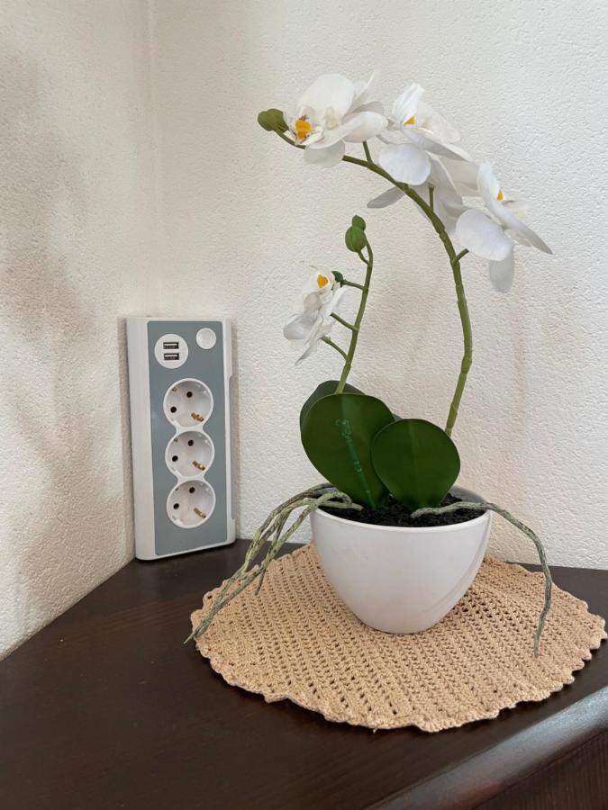 Haus Wittig Διαμέρισμα Sankt Ulrich am Pillersee Εξωτερικό φωτογραφία