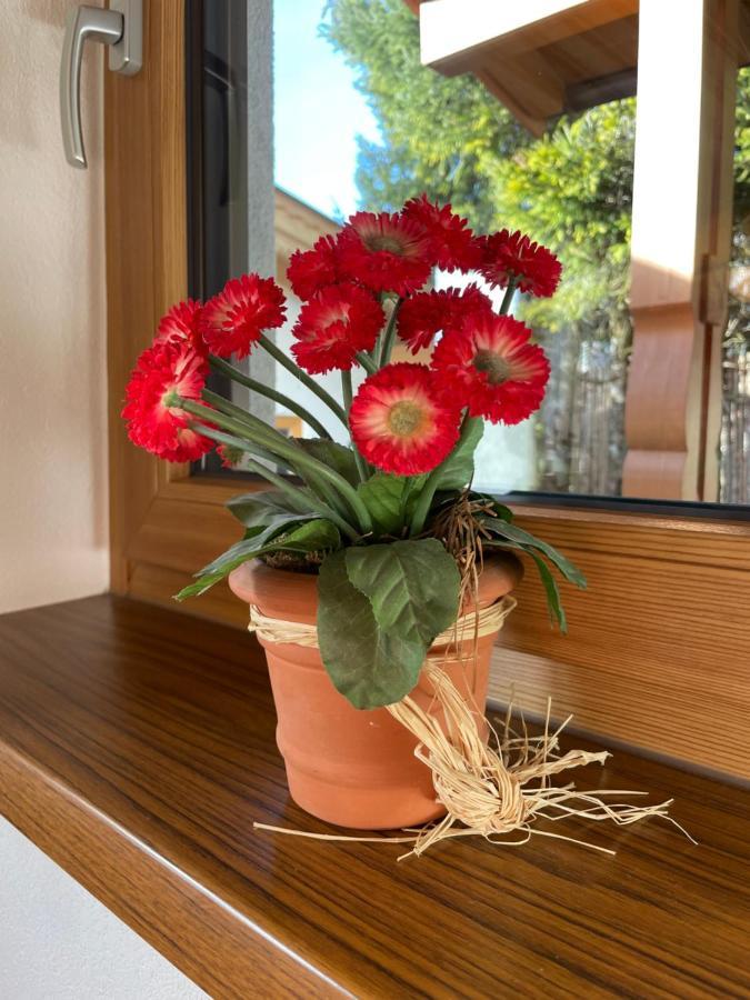 Haus Wittig Διαμέρισμα Sankt Ulrich am Pillersee Εξωτερικό φωτογραφία